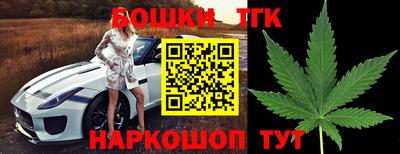 скорость Кингисепп
