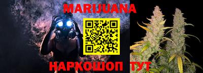 скорость Кингисепп