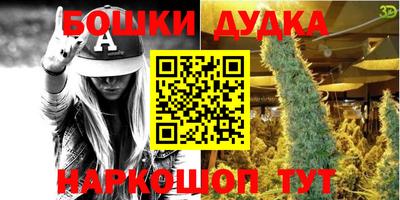 скорость Кингисепп